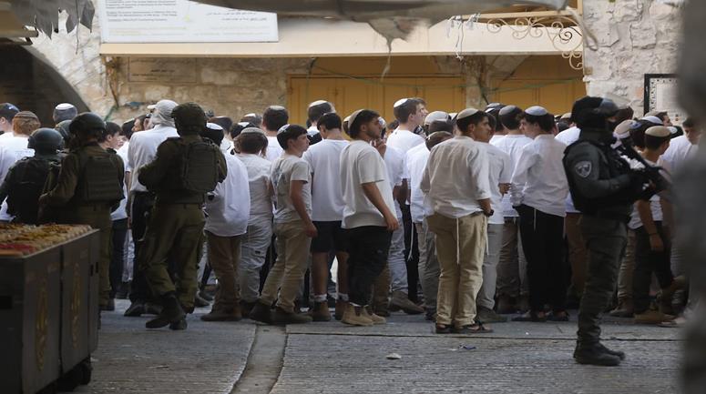 مستعمرون بحماية جيش الاحتلال ينظمون جولة استفزازية في مدينة الخليل